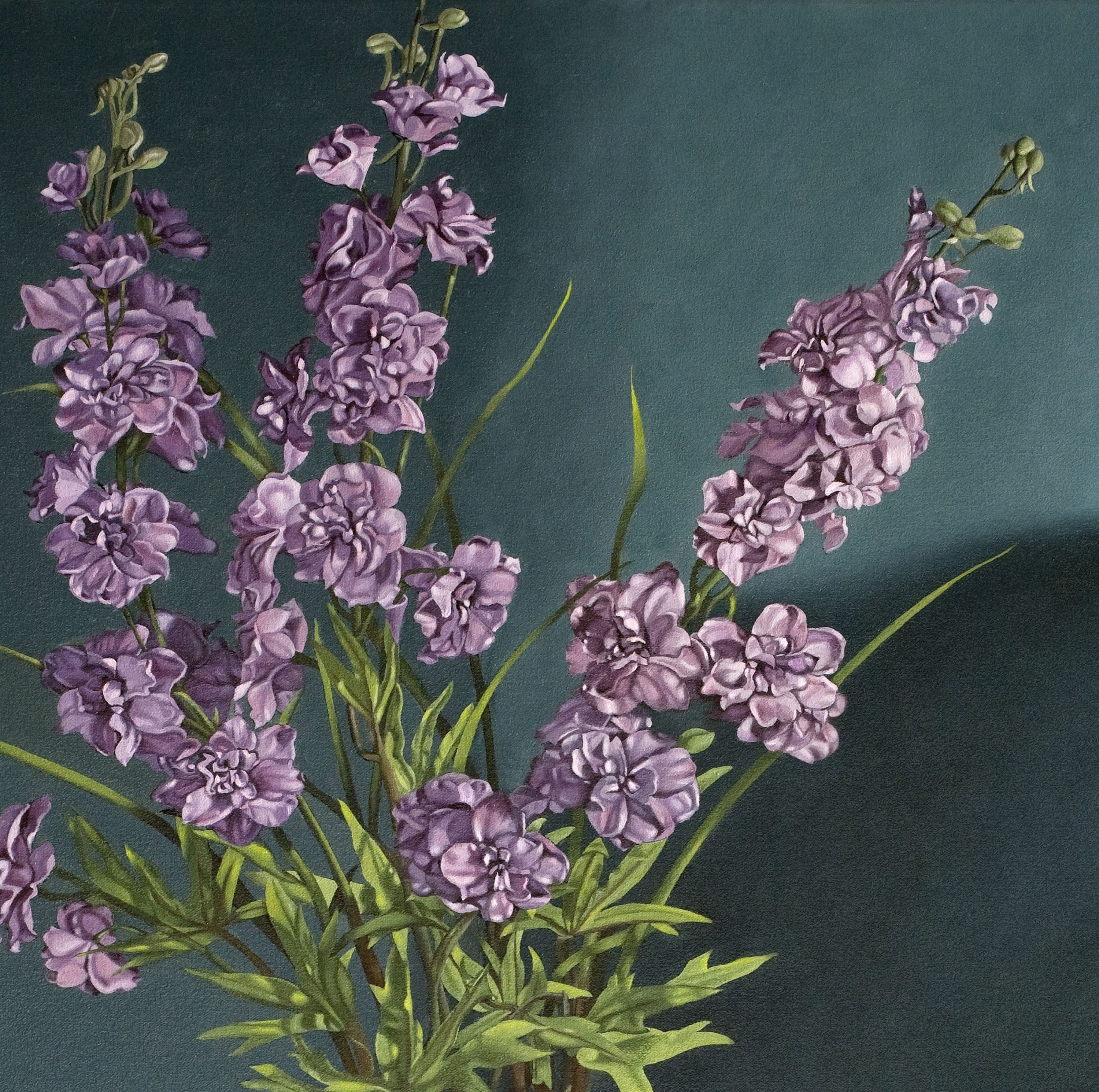 portraits.tmp/Delphiniums.jpg